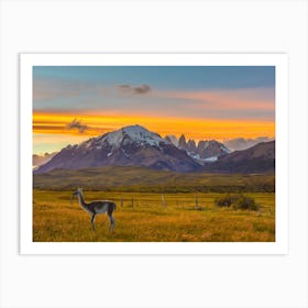 Patagonia Sunset Art Print