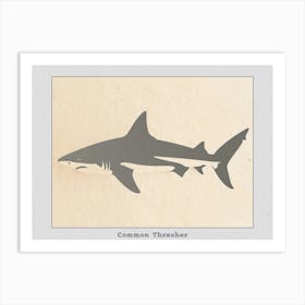 Common Thresher Shark Silhouette 6 Poster Art Print