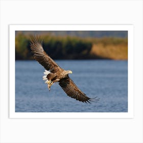 Eagle Art Print