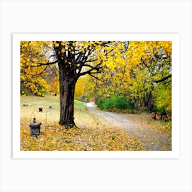 Autumn Scene 1  Art Print