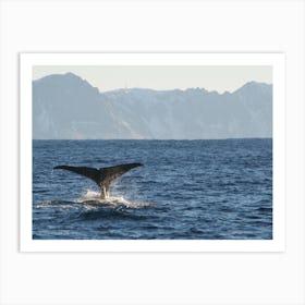 Humpback Whale Tail Art Print