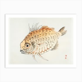 Fish, Kōno Bairei Art Print