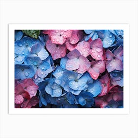 Hydrangeas 34 Art Print