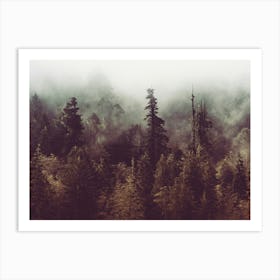 Foggy Forest -Redwood National Park Art Print