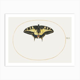 Yellow Swallowtail Butterfly (1575–1580), Joris Hoefnagel Art Print