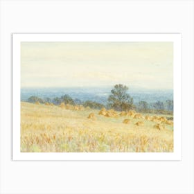 Field Of Hay Art Print