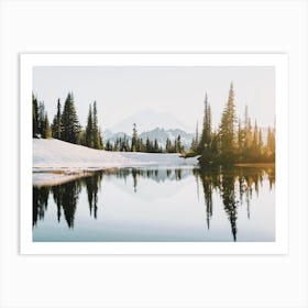 Winter Pine Tree Reflection Art Print