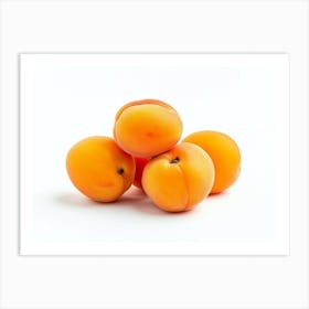 Apricots 8 Art Print