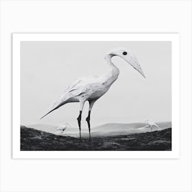 Bird In Flight 3 Art Print