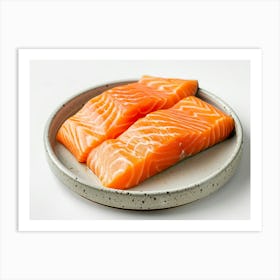 Salmon On A Plate 14 Art Print