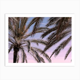 Palm Trees Sunset Travel Poster_2262139 Art Print
