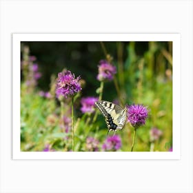 Swallowtail Butterfly 20170818 1467pub Art Print