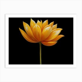 Lotus Flower Art Print