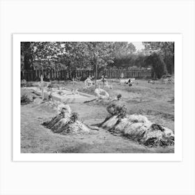 Decorated Graves In Cemetery On All Saints Day At New Roads, Louisiana By Russell Lee Art Print