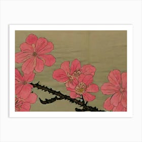 Cherry Blossoms 1 Art Print