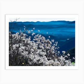 Cherry Blossoms In The Mountains 20181223 5pub Art Print