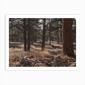 Elk In Forest Art Print