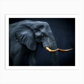 Elephant With Tusks Art Print