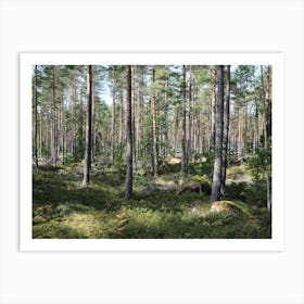 Swedish forrest 40892 Art Print