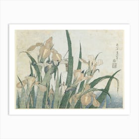 Irises And Grasshopper, Katsushika Hokusai Art Print