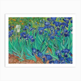 Irises Art Print