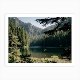 Forest Wilderness Lake Art Print