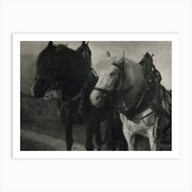 Horses During 20th Century, Alfred Stieglitz Art Print