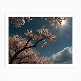 Cherry Blossoms 3 Art Print