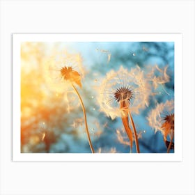 Dandelion 29 Art Print