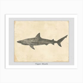 Tiger Shark Grey Silhouette 5 Poster Art Print