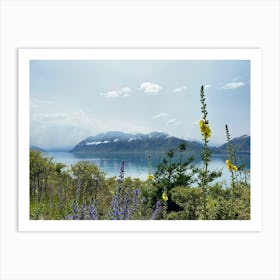 Wildflowers By Lake Hawea, New Zealand | Landscape Photography Art Print Art Print