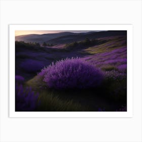 Heathland Stretching Across The Highland With Its Purple Flowers Art Print