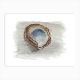 Oyster Shell in brown Art Print