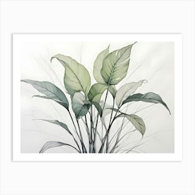 Watercolor Painting Of A Green Plant With Large Leaves Art Print