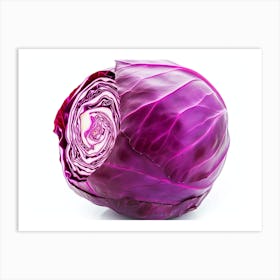 Red Cabbage (14) Art Print