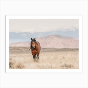 Horse On Horizon Art Print