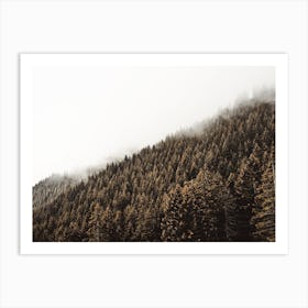 Dense Forest Scenery Art Print