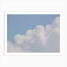 Birds Flying High In Florida Art Print