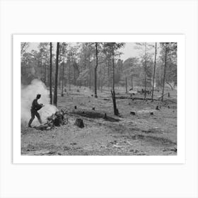 Clearing Land, Sabine Farms, Marshall, Texas By Russell Lee Art Print