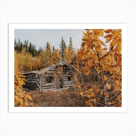 Abandoned Fall Cabin Art Print