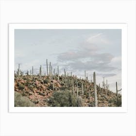 Gloomy Desert Sky Art Print