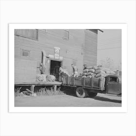 Farmer Brings Seed Into Seed Mill, Ontario, Oregon By Russell Lee Art Print