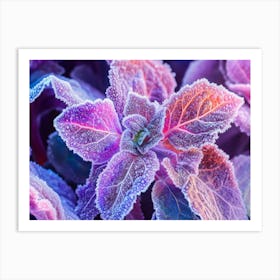 Frosty Leaves Art Print