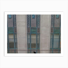 Cat On A Balcony Art Print