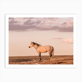 Pastel Wild Horse Scenery Art Print