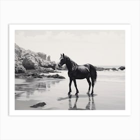 A Horse Oil Painting In Praia Da Marinha, Portugal, Landscape 3 Art Print