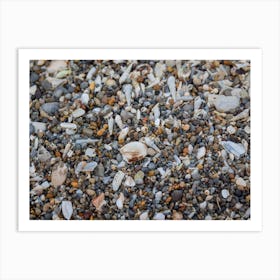 Tiny And Large Sea Shell And Rocks Texture Background Affiche