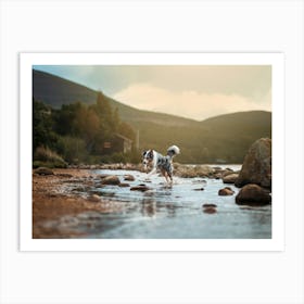 Australian Shepherd Running In Water- Scotland Highland UK dog photo print - moody animal photography Art Print