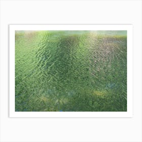 Reflection of green trees in the lake 2 Art Print