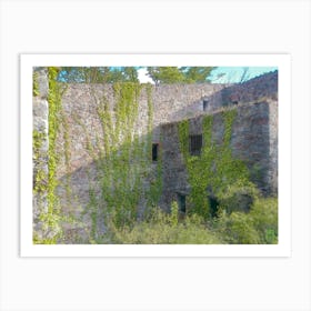 Ivy Covered Wall 20180701 10rt1ppub Art Print